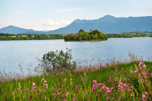 Murnau: Ausblick auf den inselreichen Staffelsee im bayerischen Alpenvorland. (Foto: Bauer/StMELF)