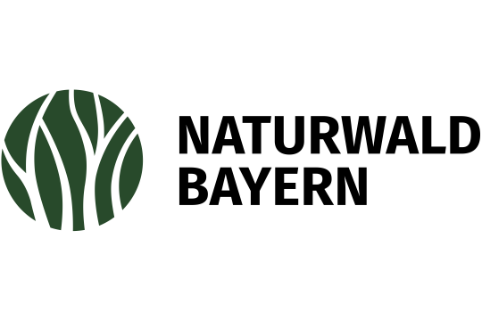 Logo mit Schriftzug "Naturwald Bayern"