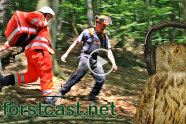 Sanitäter und Waldarbeiter im Wald. Daneben Portrait einer Eule mit Kopfhörern und der Schriftzug "forstcast.net" (Foto: M. Kolbe).