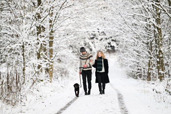 Spaziergängerin und Spaziergänger mit Hund im tiefverschneiten Wald (© Tobias Hase)