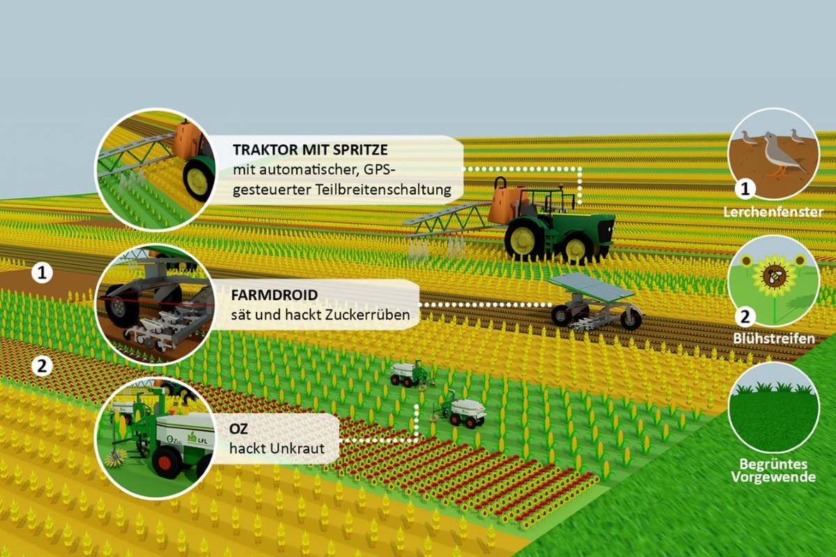 Skizze mit landwirtschaftlichen Flächen und Traktor