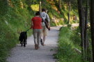 Ein Mann und eine Frau mit angeleinten Hund wandern auf einem Waldweg