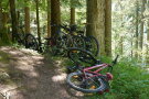 Mehrere Räder stehen und liegen am Rand eines Waldweges