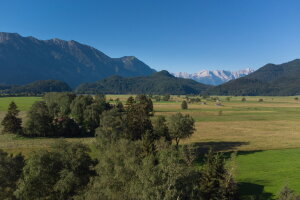 Wiesen mit Baumgruppen und Bergen im Hintergrund