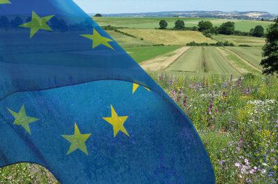Europa-Flagge und im Hintergrund Blühwiesen und Felder
