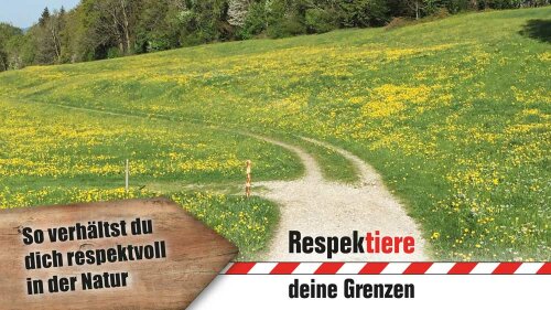 Feldweg zwischen Wiesen; Schriftzug "Respektiere deine Grenzen.So verhälst du dich respektvoll in der Natur"