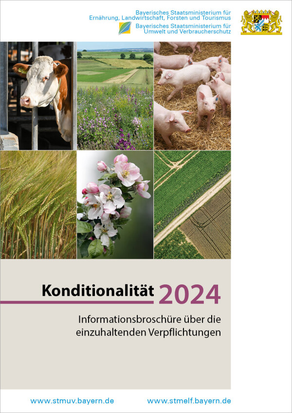 Titelseite Informationsbroschüre Konditionalität 2024