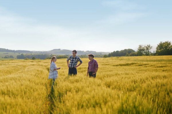 Zwei junge Männer und eine junge Frau stehen in einem Feld und unterhalten sich
