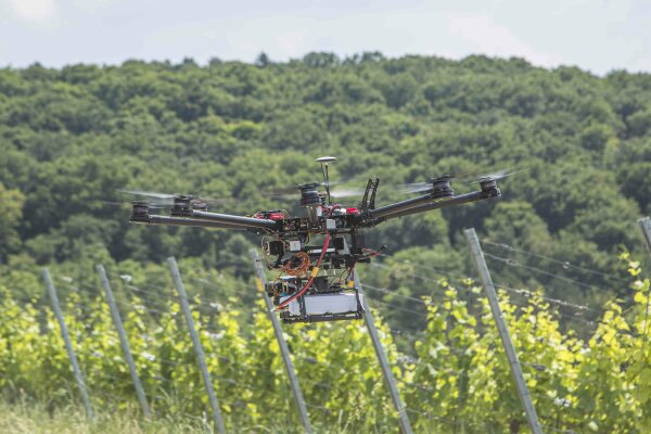 Flugdrohne mit Multispektralkamera zur Bestandsanalyse der Weinreben