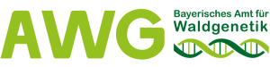 Logo und Schriftzug AWG. Bayerisches Amt für Waldgenetik
