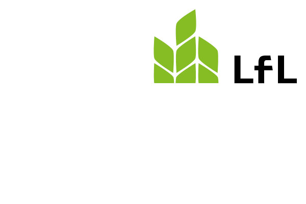 Logo Web Lfl