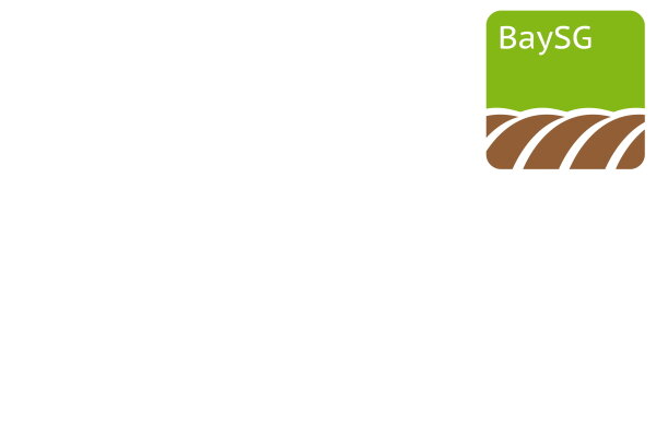 Logo Baysg 1200