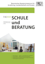 Titel Schule und Beratung Heft 5-6/2020