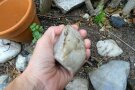 Hand nimmt Stein aus Hochbeet