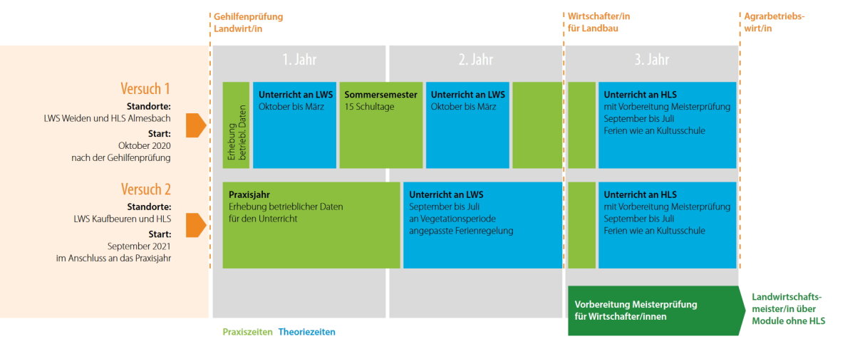 Diagramm: Zeitlicher Ablauf der Theorie- und Praxiszeiten beim Pilotprojekt 