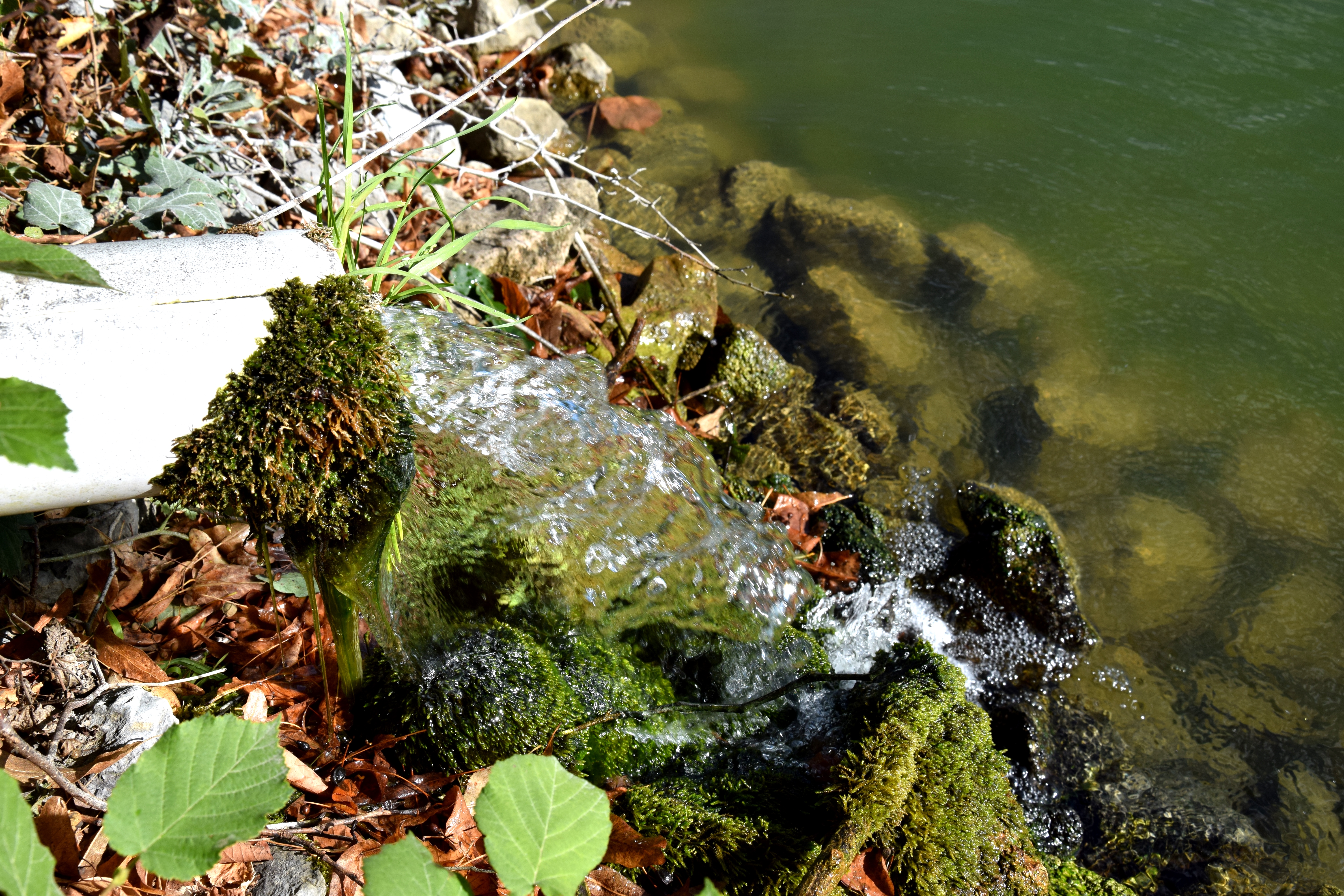 Fließendes Wasser an einem Bachlauf