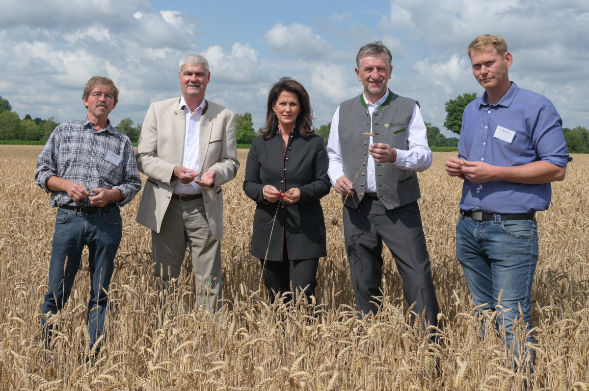 Das Bild zeigt Staatsministerin Michaela Kaniber zusammen mit anderen Beteiligten der Erntepressefahrt in einem Kornfeld. 