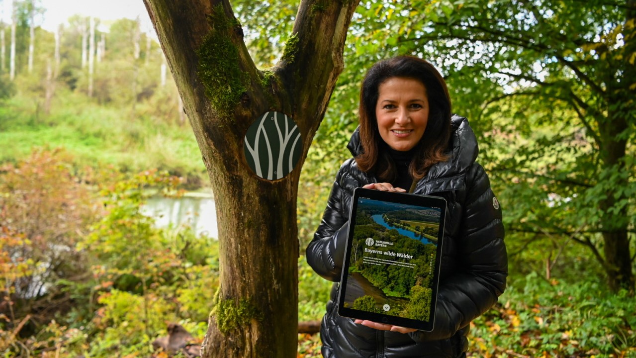 Forstministerin Kaniber steht neben einem Baum mit dem Naturwald-Logo und hält ein Tablet in den Händen