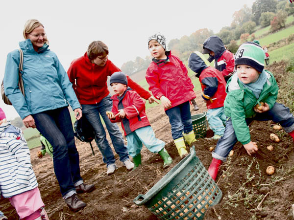 Kinder und Eltern ernten Kartoffeln auf dem Feld