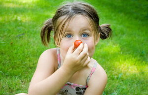 Kind hält sich kleine Tomate an die Nase