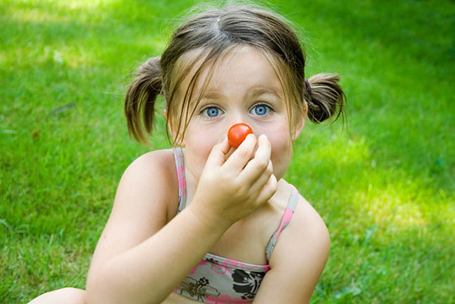 Mädchen mit Zöpfen macht es einem Clown nach und hält sich eine kleine Tomate an die Nase.
