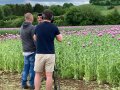 Drei Personen stehen vor einem Mohnblumenfeld und machen Filmaufnahmen