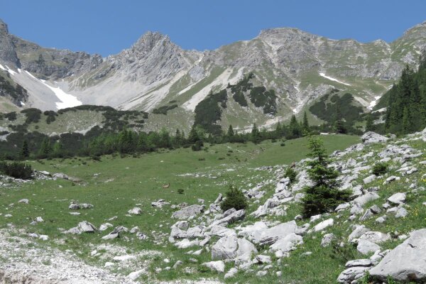 Bergkulisse auf Höhe der Baumgrenze mit kleinen Schneefeldern