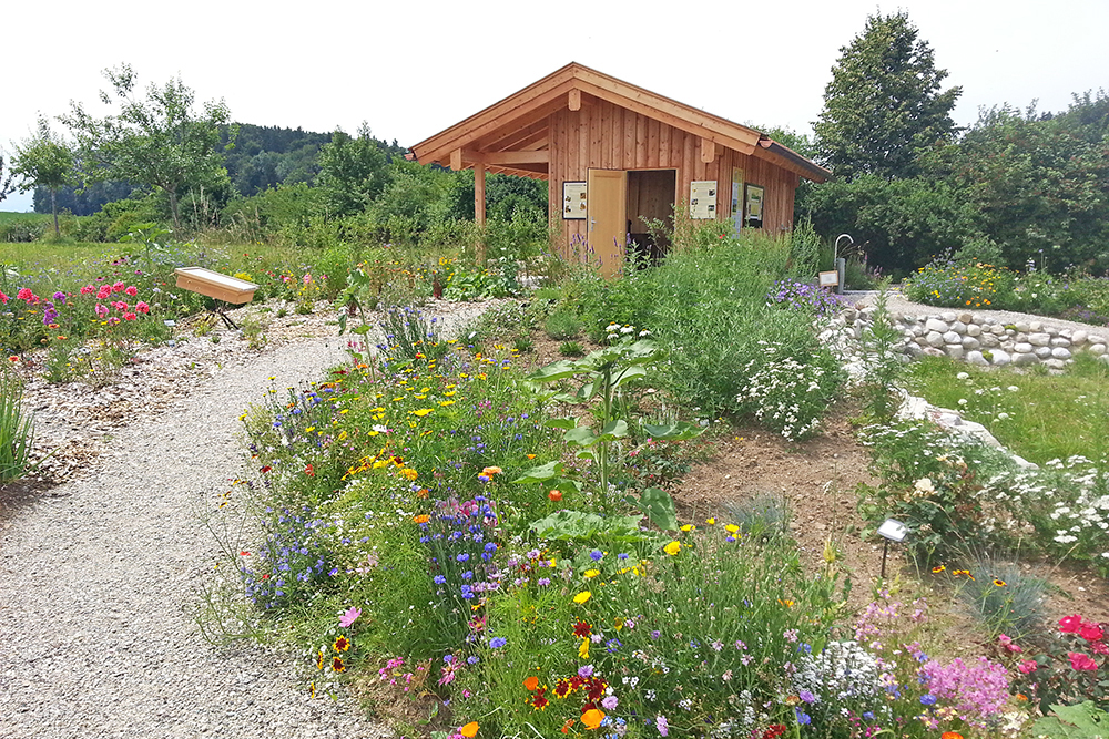 Schaubienenhaus mit Bienengarten