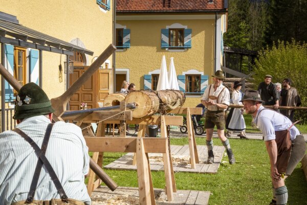 Männer beim Sägen