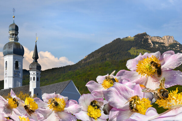 Blumen mit Bienen