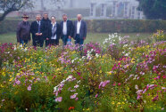 Sechs Personen stehen hinter einem Beet mit blühenden Wiesenblumen