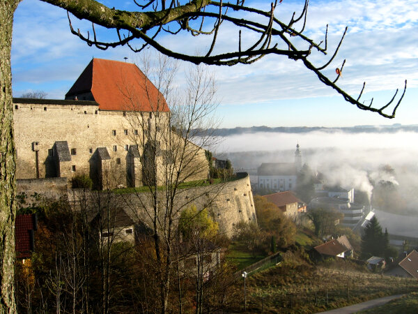 Burgansicht mit Nebel im Tal