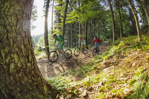 Waldtour im Bayerischen Wald