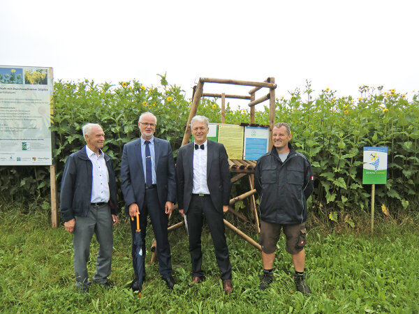 Gruppe mit vier Personen vor dem Hintergund einer Silphie-Anbaufläche.