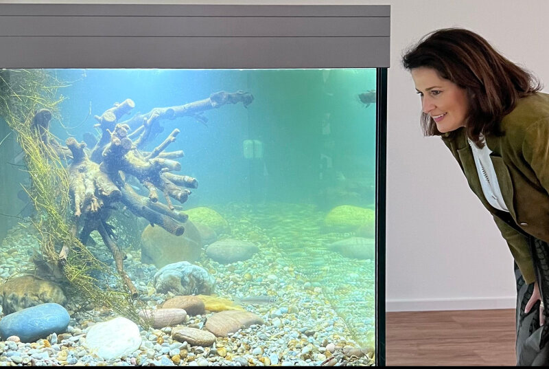 Staatsministerin Michaela Kaniber betrachtet ein Aquarium