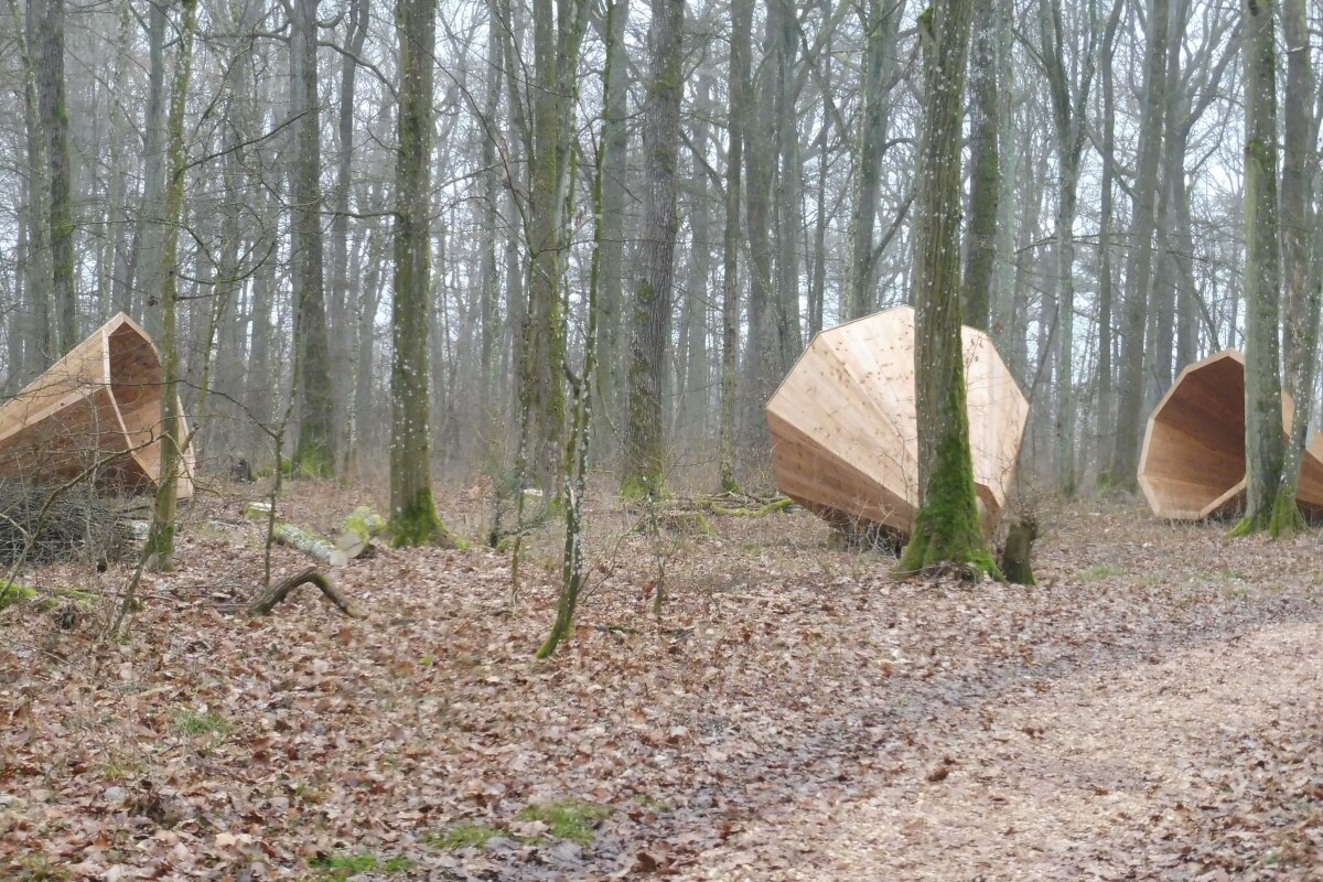 Große Sprachröhren aus Holz liegen im Wald
