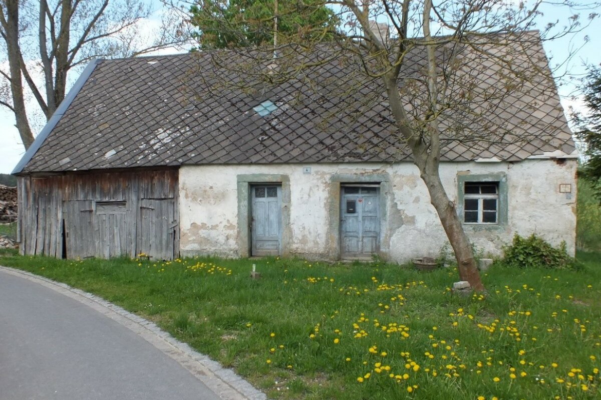 Ein altes einstöckiges Gebäude mit undichtem Dach steht hinter einem Baum ohne Blätter.