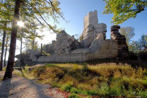 Fragmente der Burgruine Weißenstein. Gut erkennbar ist noch der Aussichtsturm.