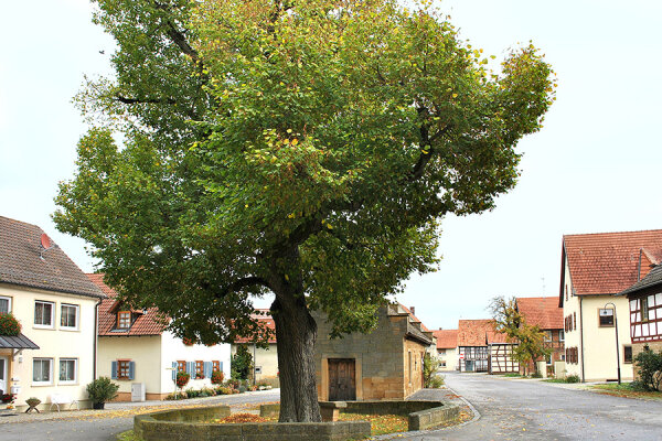 Le Ufr Staatspreis Grabfeldgau 9