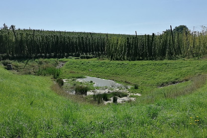 Le Ob Staatspreis 2022 Kimawandel Oberlauterbach Rueckhaltebecken West