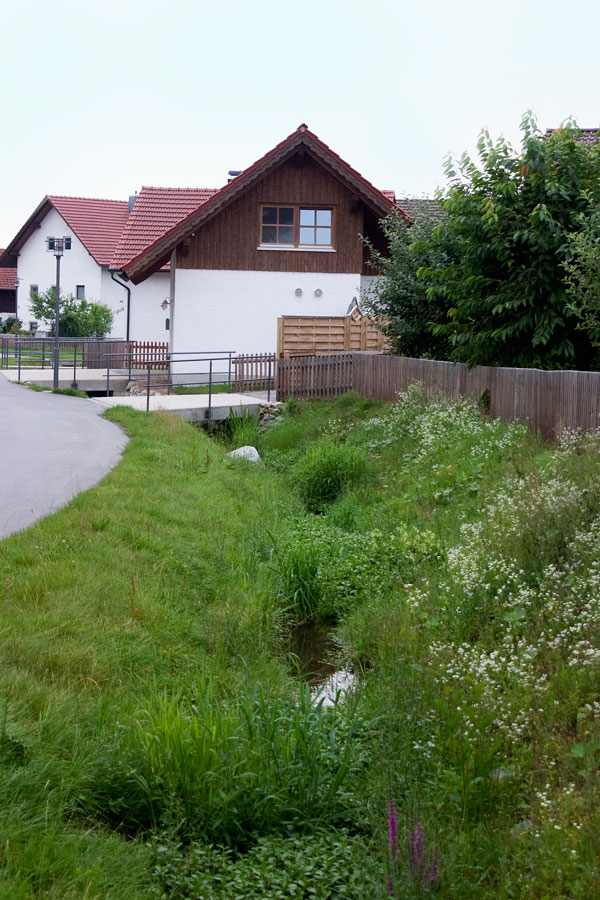 Mitterdorder Bach entlang eines Weges und von Häusern – er führt wenig Wasser, sein Profil für einen Abfluss von 1,5 m³/s ist artenreich begrünt