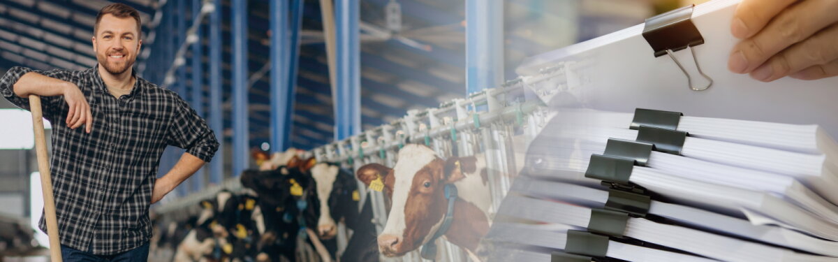 Fotocollage: Landwirt im Stall mit seinen Kühen und eine Hand an einem Stapel mit Akten
