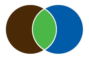 Logo boden:ständig: Zwei Kreise überschneiden sich und die Flächen sind in unterschiedlichen Farben, braun, grün und blau, gefärbt.