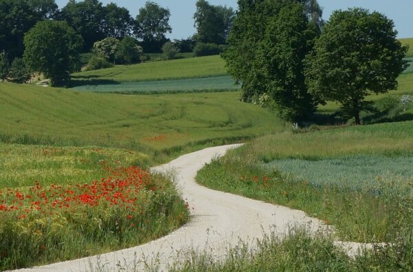 Eine kleine Straße mitten im Grünland. 