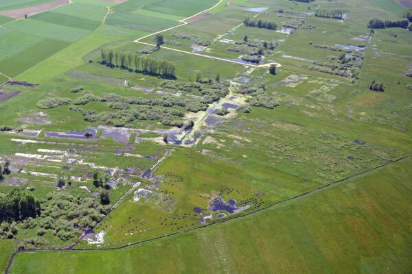 Eine vielfältige Moorlandschaft mit zahlreichen Moorseen und kleinen Bächen 