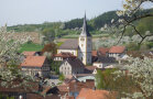 Blick in den Ortskern eines fränkischen Dorfes, das von vielen blühenden Bäumen umgeben ist