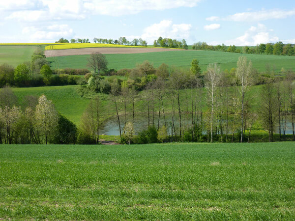 Hügelige Landschaft mit Äckern, Wiesen und Heckenstrukturen. In der Senke (Bildmitte) befindet sich ein Fischweiher.