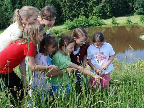 Eine Gruppe von Kindern in Randbereich eines Teiches