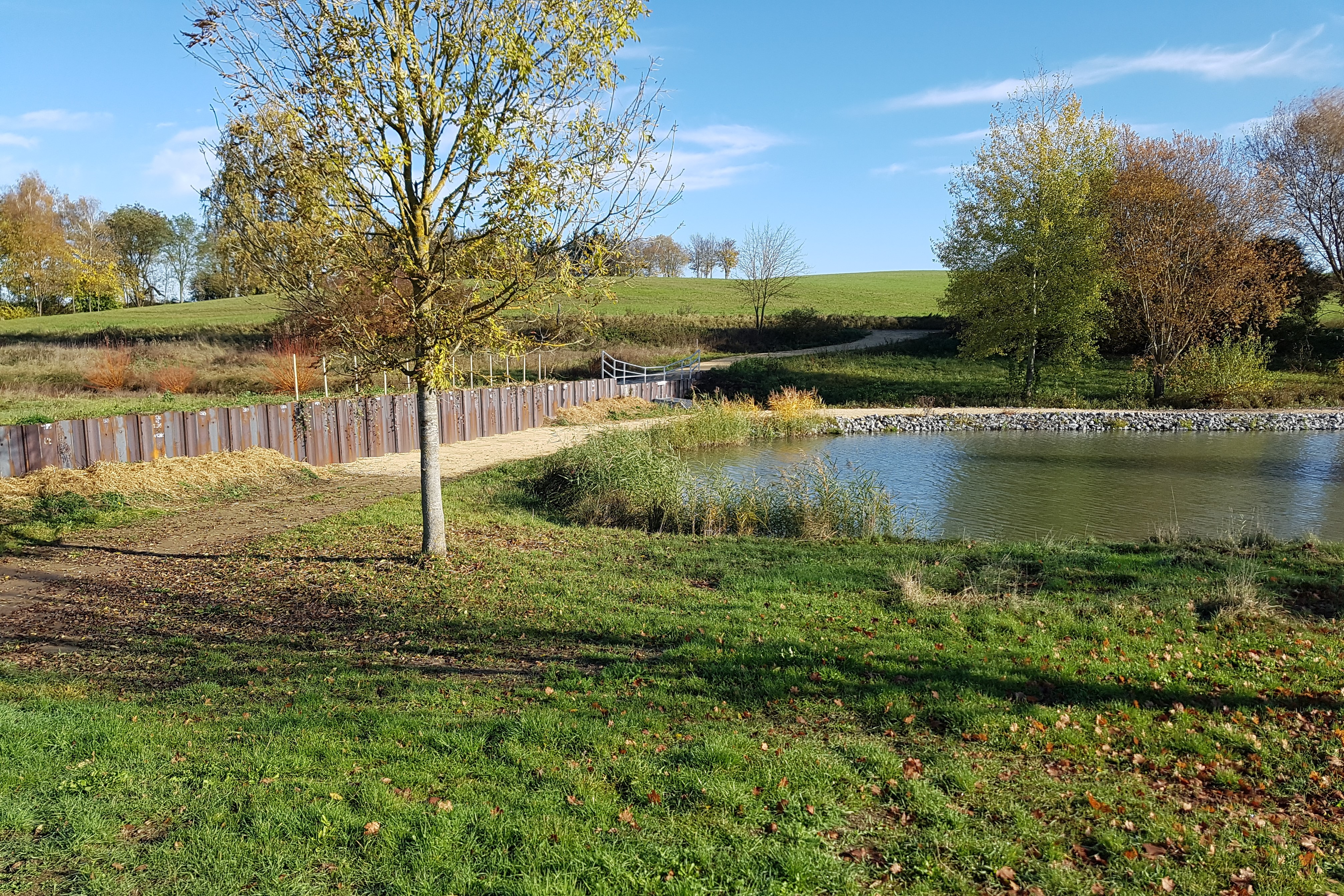 Ein mit Wasser gefülltes Rückhaltebecken integriert sich in eine herbstli-che Landschaft.