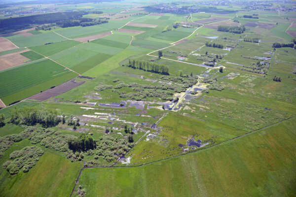 Luftbild eines Moors